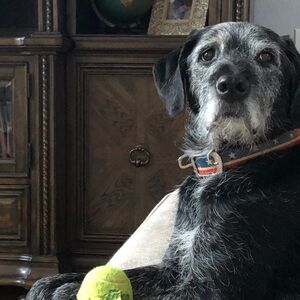 Meet your Posher, Becca